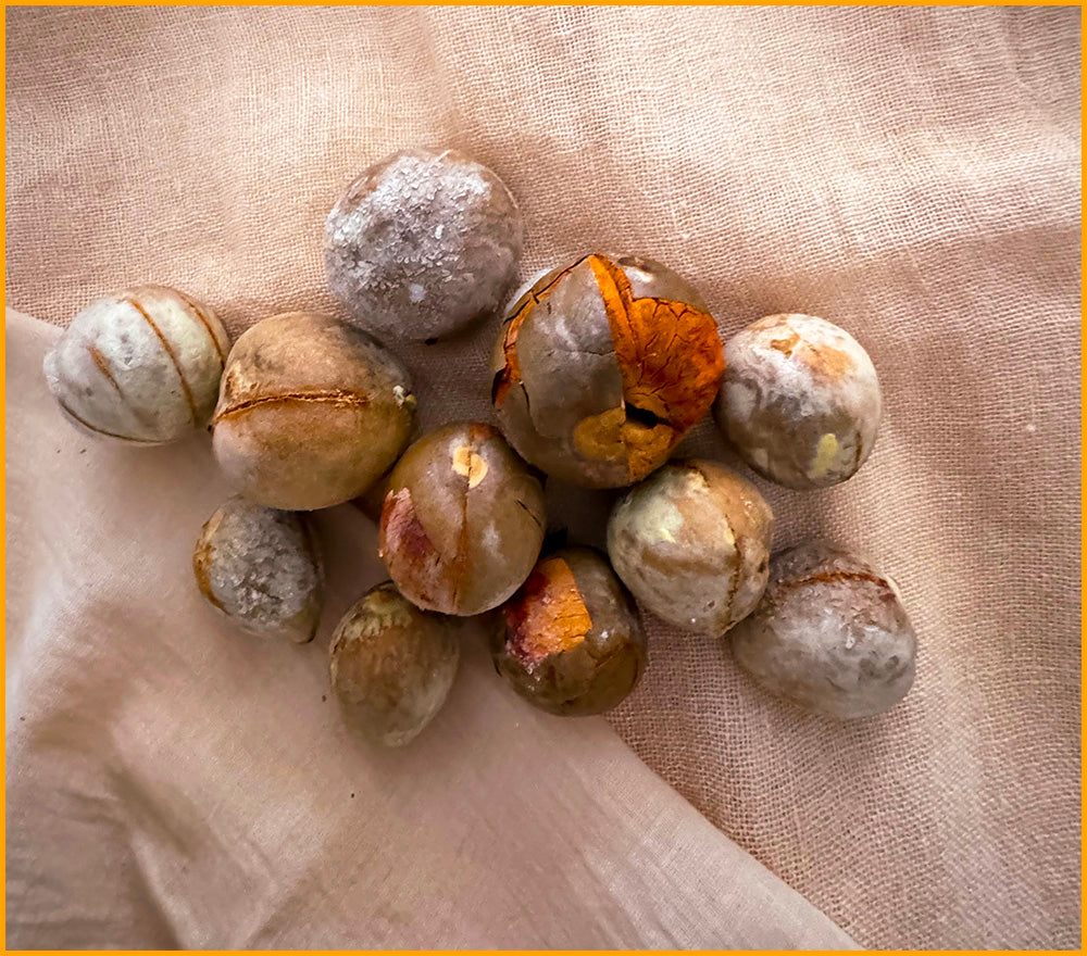 natural dyes, plant based colour