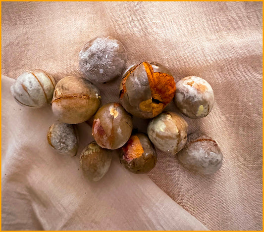 natural dyes, plant based colour