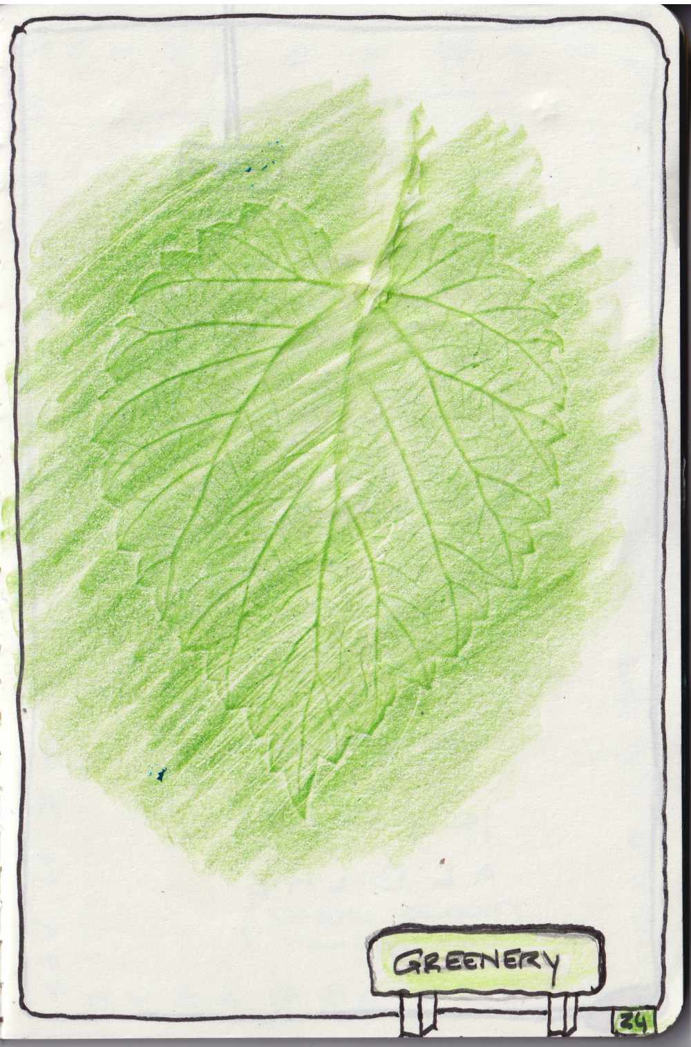 natural relations, tentoonstelling herman de vries, Galerie BlockC en ARTisBOOK Groningen