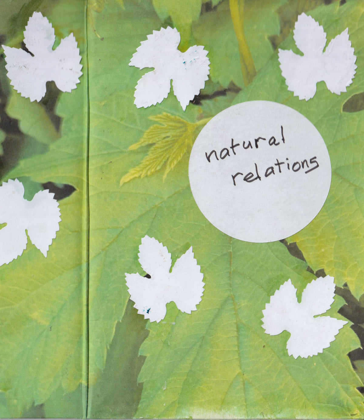 natural relations, tentoonstelling herman de vries, Galerie BlockC en ARTisBOOK Groningen